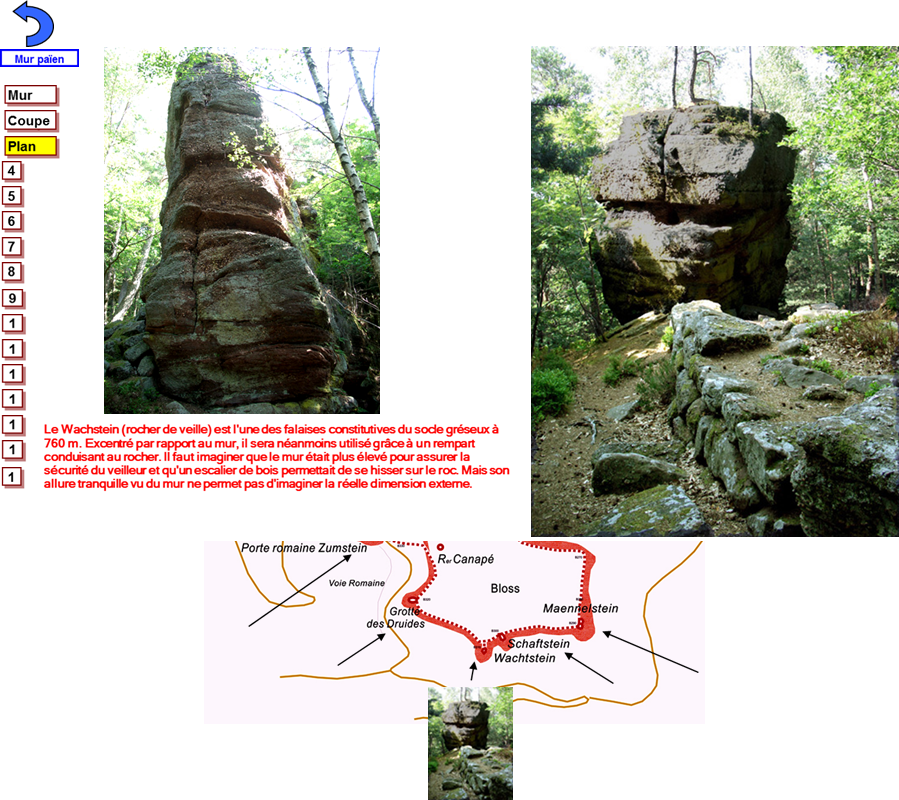Mur paien 5 red,B310-b remani Wachstein red vignette,B310-ext red Wachstein,B310-b remani Wachstein red