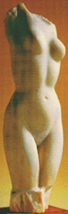 Vnus-bourron allong