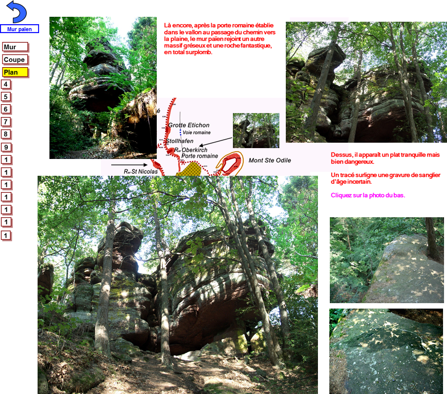 Mur paien 5 red,S330 Oberkirch 1 red vignette,S330-a b red sanglier oberkirch,S330-c remani� sanglier red,S330 Oberkirch 1 red,S330-plat oberkirch gp sanglier red,S330-plat oberkirch gp sanglier surlign� red