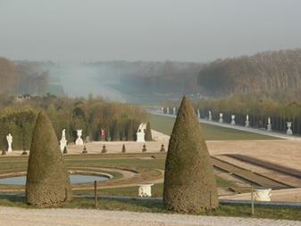 Versailles_TAPIVR - Tapis_vert - CIMG6438